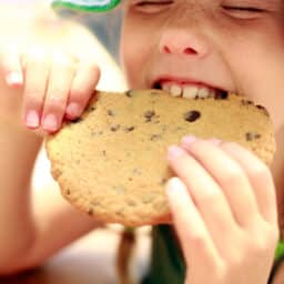 Sweet child taking a bite out of an enormous chocolate chip cookie on a nice summer day.